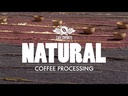 Natural Processing